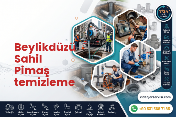 Beylikdüzü Sahil Pimaş temizleme