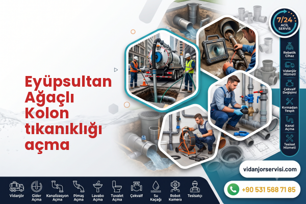 Eyüpsultan Ağaçlı Kolon tıkanıklığı açma