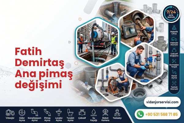 Fatih Demirtaş Ana pimaş değişimi